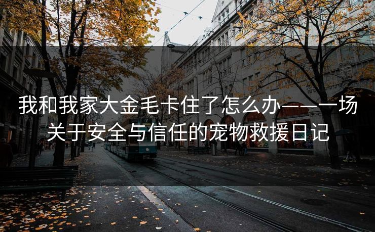 我和我家大金毛卡住了怎么办——一场关于安全与信任的宠物救援日记